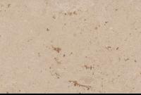 Broccato Veneziano Limestone.jpg